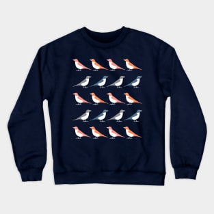 Birds Of A Feather (Misty) Crewneck Sweatshirt